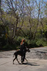 Josie Ford and her Great Dane, Atticus