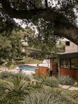 The roughly 1.5-acre property is dotted with giant, old-growth oak trees. "When people come here, they’re astounded," says Mary. "It’s very peaceful—it feels like an oasis of calm and tranquility in the middle of L.A."