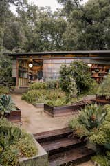 The ceramics studio was built with the posts and beams of an abandoned pergola from the old estate.