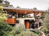 The pool house takes many different attitudes toward the landscape, with one end nestled in the treetops and the other cantilevering over the water. "We think of it as a boathouse, a tree house, and a cave," says Fung.