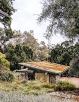 "The original house was more about viewing nature from afar," says architect Alice Fung of the 1954 structure, which is perched at the highest point on the site. "The new buildings are very connected to the land and allow people to go outdoors at every level."