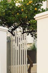 Lemon tree house
