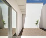 Lemon tree house