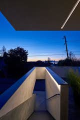 Light Night 