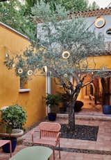 Courtyard After  Photo 18 of 35 in Renovation of Modern Bastide in Provence by Cathy Steinberg