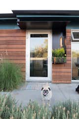 Exterior, Stucco Siding Material, Flat RoofLine, Mid-Century Building Type, House Building Type, and Wood Siding Material  Photo 15 of 25 in OM Home by Omgivning Architecture/Interiors