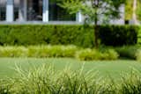 Layers of textural plantings.