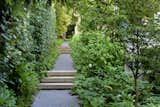 A lushly planted side yard pathway invites you into the rear garden.