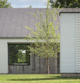 Exterior, Shed RoofLine, Wood Siding Material, House Building Type, and Metal Roof Material  Photo 4 of 10 in Two Shed by Birdseye