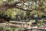 Alfresco dining under a sprawling 60 year old oak