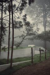 The virgin and natural landscape is intervened by the hill created by the studio.