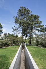 A path walk with concrete walls embraces the visitor to access the house.