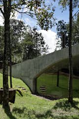 Most of the site’s vegetation was preserved.