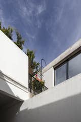 This Lush Buenos Aires Home Cleverly Blurs the Boundaries Between Inside and Out - Photo 18 of 19 - 