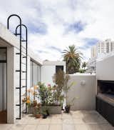 PH SUPERÍ  Photo 11 of 19 in This Lush Buenos Aires Home Cleverly Blurs the Boundaries Between Inside and Out from PH SUPERÍ
