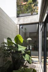 This Lush Buenos Aires Home Cleverly Blurs the Boundaries Between Inside and Out - Photo 3 of 19 - 