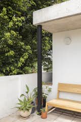 This Lush Buenos Aires Home Cleverly Blurs the Boundaries Between Inside and Out - Photo 7 of 19 - 