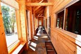 The sunspace, with floor grills to allow solar heated air to rise in winter. Mass Timber walls store the heat energy. In the summer, awnings shade the windows, and the same grills allow heat to rise and escape through the attic windows in summer. Foolproof, simple, innovative.