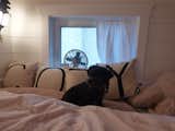 Nothing says Cozy like pillows! The loft has a lower roof, but feels extra comfy with linens and pillows that provide plenty of fluff for these furry inhabitants. 