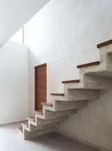 Concrete stairs with tzalam wood.