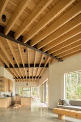 The interiors combine polished concrete floors, plaster walls, and a pine ceiling with hemlock beams. The bend in the floor plan follows the site’s topography. 
