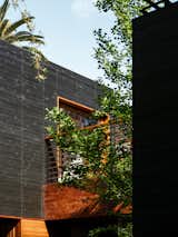  Photo 1 of 38 in Venice House by Sebastian Mariscal by Mike Berardi