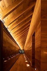 A Dramatic Hallway Forms the Spine of This Shou Sugi Ban Retreat in Mexico - Photo 8 of 13 - 