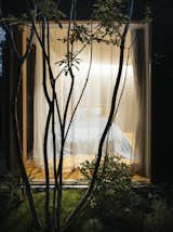  Photo 8 of 21 in Urban courtyards by Peanutgallery from A Wondrous Wood Home in Hyogo Centers Around a Tranquil Garden
