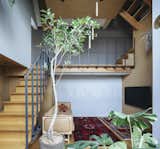 A Wondrous Wood Home in Hyogo Centers Around a Tranquil Garden - Photo 10 of 33 - 