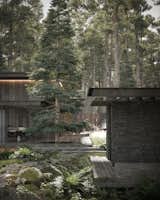 Pine Cove House