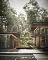 Pine Cove House