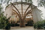 Exterior and Green Siding Material Main entrance - bamboo structure  Photo 1 of 24 in Bamboo Flower _Restroom pavillion by Manu Ponte