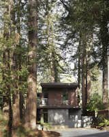 Exterior, Metal Roof Material, Metal Siding Material, Concrete Siding Material, House Building Type, Small Home Building Type, and Flat RoofLine The challenge was to tuck in amongst the redwood trees and build a foundation that floated above the tree roots.   Photo 2 of 16 in Modern Cottage by Richardson Pribuss Architects