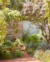 A secret garden is hemmed in with a sinuous but solidly poured concrete wall.