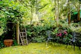 Pretty cottage garden provides a contrast to the towering redwood trees