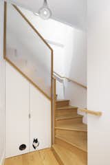 Penthouse Stair with Luna the Cat