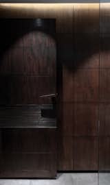 Wood door and handle detail