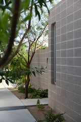  Photo 2 of 33 in the Hideaway On Palm by benjamin hall design