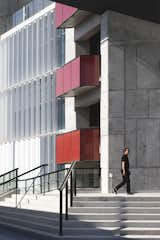 Staircase, Metal Railing, and Concrete Tread  Photo 6 of 12 in FAE by Pablo Casals Aguirre