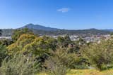 View of Mount Tamalpais