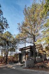 Photo 2 of 17 in House  Between Pine Trees by Infante Arquitectos