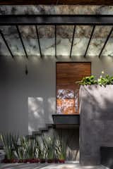  Photo 4 of 17 in House  Between Pine Trees by Infante Arquitectos