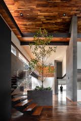  Photo 6 of 17 in House  Between Pine Trees by Infante Arquitectos
