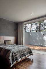  Photo 8 of 17 in House  Between Pine Trees by Infante Arquitectos