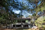  Photo 13 of 17 in House  Between Pine Trees by Infante Arquitectos