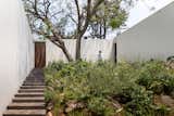 Outdoor, Flowers, Garden, Walkways, Hardscapes, Shrubs, Gardens, and Trees  Photos from A Serene Home in Mexico Weaves Around Verdant Gardens