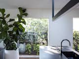 Windows and Picture Window Type  Photo 13 of 25 in Black Pivot Doors Frame Views of This Australian Home’s Verdant Garden