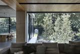 A Concrete and Glass Pavilion Opens This 1930s Home to a Tiered Garden - Photo 7 of 17 - 