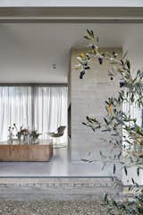 A Concrete House Is Softened by an Airy Internal Courtyard, Complete With an Olive Grove - Photo 17 of 19 - 
