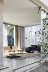 A Concrete House Is Softened by an Airy Internal Courtyard, Complete With an Olive Grove - Photo 6 of 19 - 
